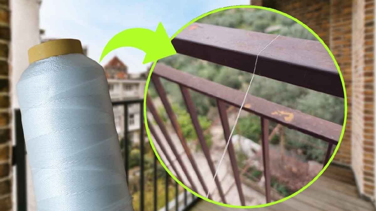 Filo di nylon perché tutti lo legano sul balcone Risolve un problema